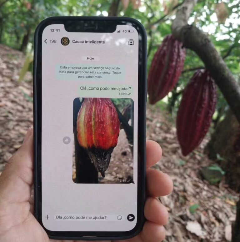 pesquisadores-lancam-app-do-cacau-para-ajudar-produtores-na-lavoura