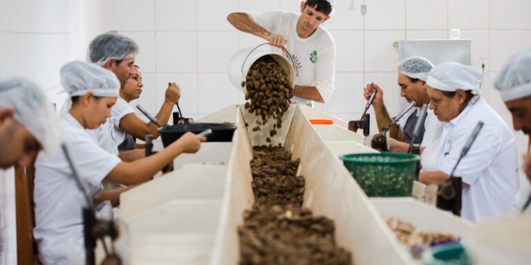 consulta-sobre-bens-sustentaveis-no-acordo-mercosulue-acaba-na-quarta
