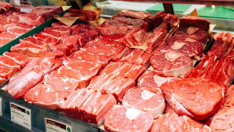 uniao-europeia-vai-proibir-importacao-de-carne-do-brasil-a-partir-desta-quinta