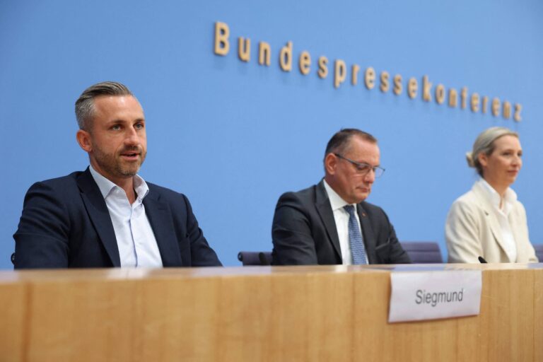 o-que-falta-para-a-afd-formar-um-governo-na-saxonia-anhalt,-na-alemanha