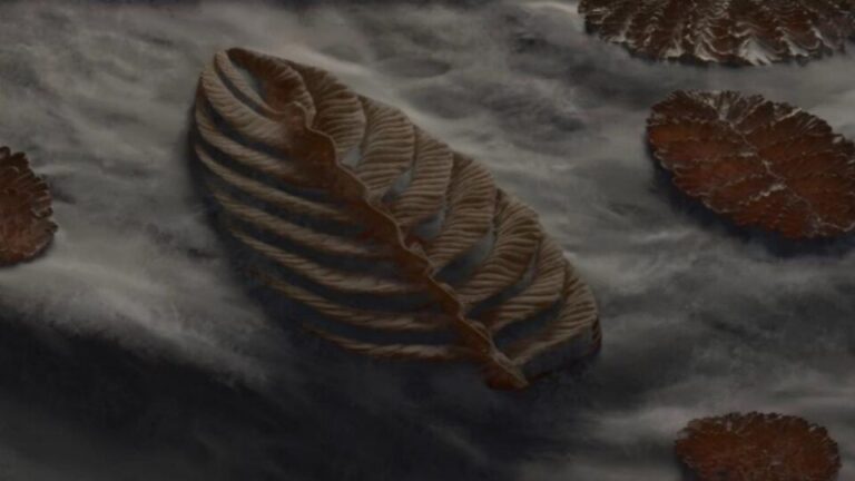 cientistas-encontram-fossil-de-um-dos-animais-mais-antigos-da-terra-em-pasto-de-ovelhas