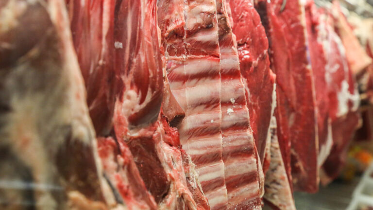 ue-indica-que-carne-bovina-do-brasil-pode-ficar-dois-anos-fora-do-mercado-europeu