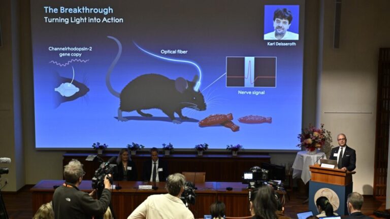 estudo-sobre-percepcao-de-luz-em-algas-rende-nobel-de-medicina-para-trio